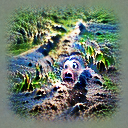 Multimodal Neurons in Artificial Neural Networks