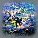 Multimodal Neurons in Artificial Neural Networks